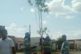 Petrolina Mais Verde contempla o bairro São Gonçalo