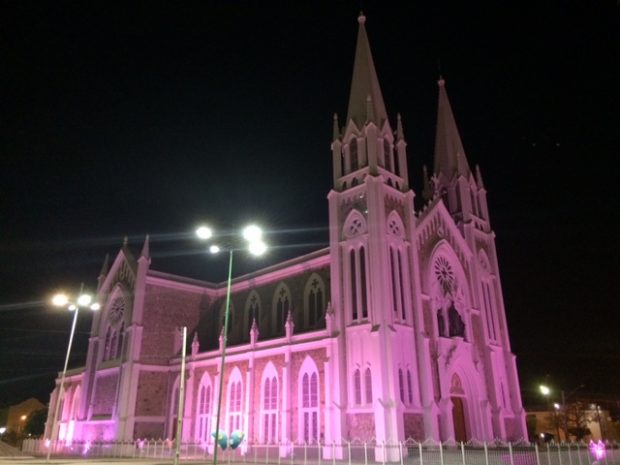 roxo2