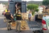 Fiscalização integrada resgata mais de mil animais silvestres no lado baiano do rio São Francisco
