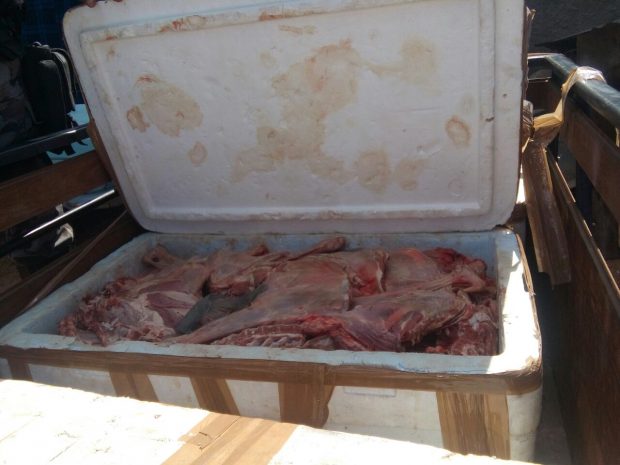 carne-1