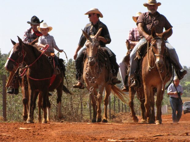 cavalgada2