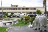 Prefeito de Itapetinga punido por descaso com a Educação