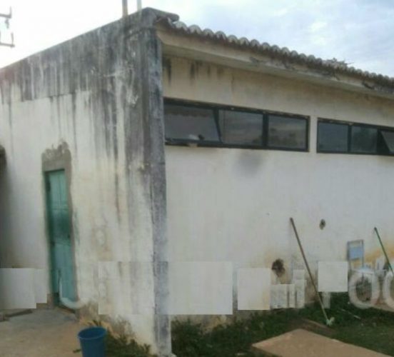 pai-do-vaqueiro1