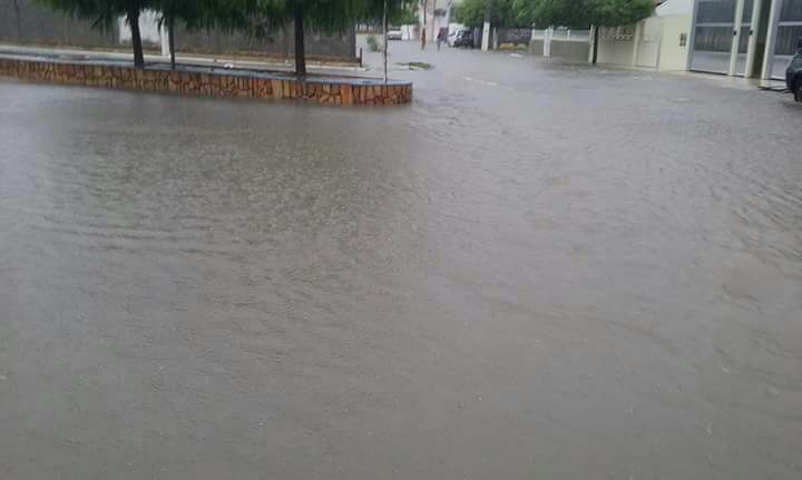 pilao4