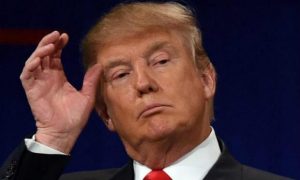 trump11