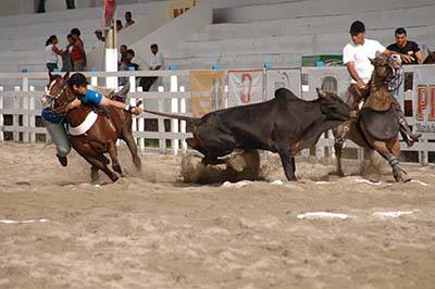 vaquejada-baiana