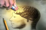 Pesquisa de brasileiro pode reduzir incidência de Alzheimer e Parkinson