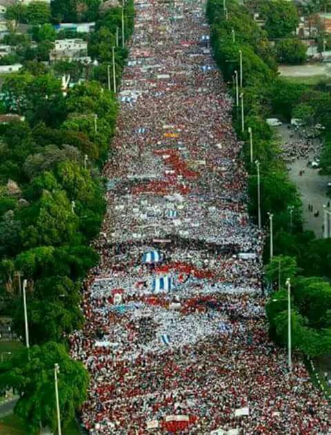 cortejo4