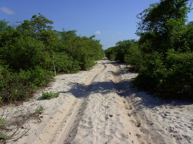 estrada
