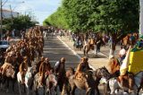 Deputados aprovam projeto que torna a Festa dos Vaqueiros de Curaçá patrimônio cultural imaterial da Bahia
