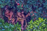 Fotógrafo faz registro raro de tribo isolada em floresta no Acre; veja imagens