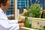 Novo Comitê Assessor Externo é instalado na Embrapa Semiárido Novo Comitê Assessor Externo é instalado na Embrapa Semiárido