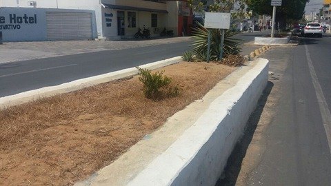 sede8