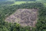 Ex-gerente do Ibama dava ‘cobertura’ ao maior desmatador da Amazônia