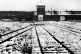 Libertação de Auschwitz-Birkenau