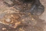 Corpo é encontrado dentro de uma sacola em Juazeiro