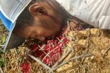 Homem é morto a tiros no bairro João de Deus em Petrolina
