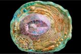 As teorias para o surgimento das primeiras células – e da vida na Terra