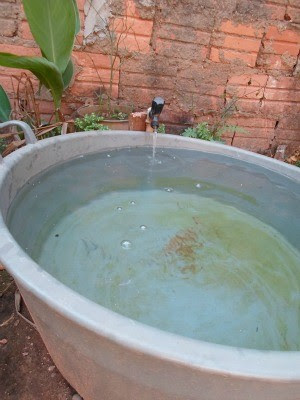 bacia com agua