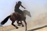Era o que faltava: Bandido assalta montado a cavalo