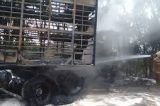 Caminhão carregado de animais pega fogo e bovinos morrem em PE