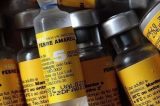 Brasil vive o pior surto da história de febre amarela silvestre; vacina é a melhor prevenção