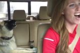 Cachorrinha canta Queen com a dona e viraliza na web
