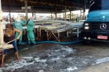 Prefeitura de Petrolina inicia mutirão de limpeza na feira da Cohab Massangano