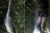 Vídeo: Homem encontrado dentro de cobra