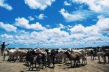 Como era o Saara antes de se tornar o maior deserto do planeta