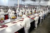 Preço da carne de bode e carneiro