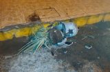 Vandalismo em Juazeiro