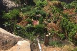 Prefeitura de Petrolina resolve mais um problema de esgoto que caía no rio São Francisco