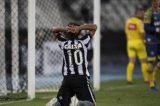 Botafogo perde chances e invencibilidade em casa para o Avaí