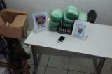 Polícia apreende mais de 10 quilos de maconha em Petrolina, PE