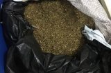 Polícia prende homem acusado de tráfico de drogas