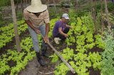 Bolsonaro ataca reforma agrária e agricultura familiar de uma só vez com decreto no Carnaval