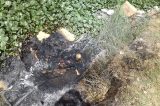 Corpo carbonizado encontrado em canal de Juazeiro