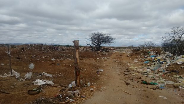 O CERCADO DE PROTECAO DESTRUIDO