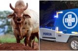 Homem morre ao ser chifrado por um touro em Campo Formoso