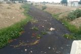 Moradora pede que Prefeitura de Juazeiro faça limpeza de canal