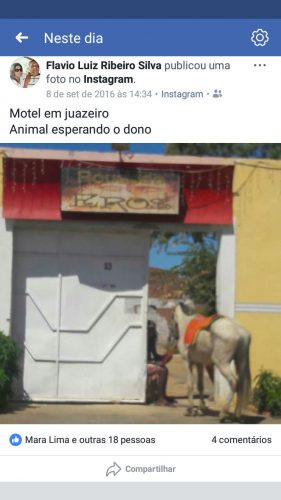 cavalao