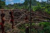 Garimpeiros invadem aldeia e matam cacique no Amapá