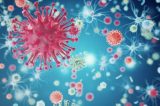 Cientistas criam novos anticorpos capazes de atacar até 99% dos tipos de HIV