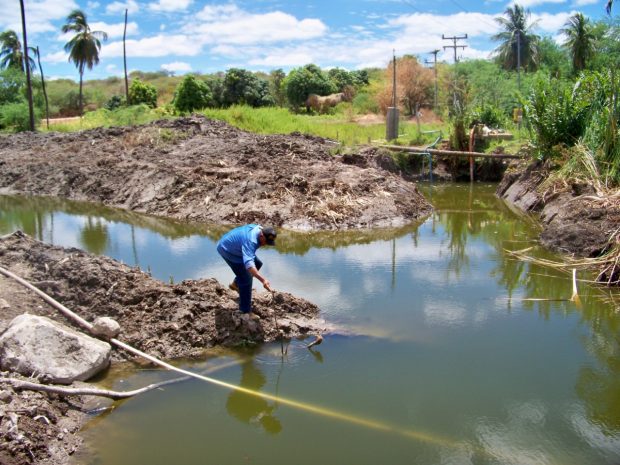 agua na Goiabeira
