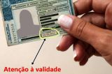 Senado aprova lei que cancela CNH após 30 dias de vencimento