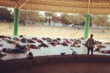 Projeto de extensão da Univasf promove prática de ioga e meditação para a comunidade aos sábados