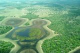 A emenda em projeto de lei que expõe Pantanal a avanço de agrotóxicos a hidrelétricas