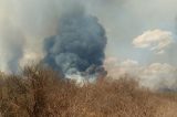 ‘Devemos admitir incêndio como algo natural’, afirma secretário da Sema