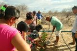 Município participa de atividade experimental de reúso da água para irrigação de forragens em Pinhões